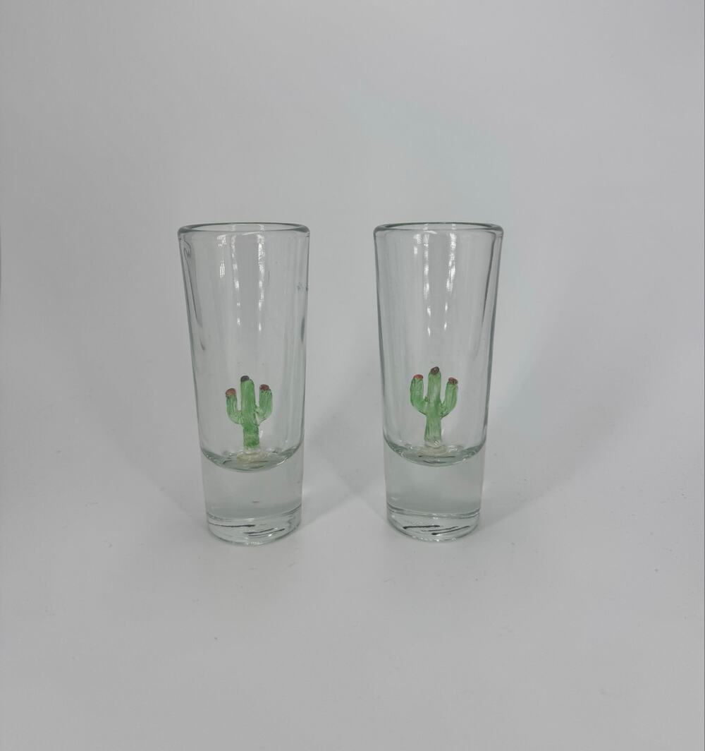 Set of 2 Clear Shot Glasses with Tiny Glass Cactus Inside 4”